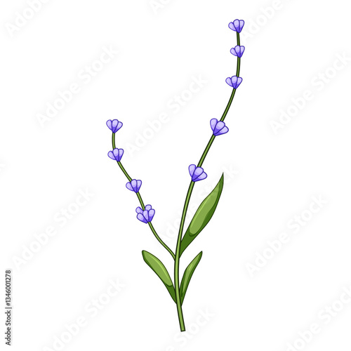 treasure lavender cartoon vector illustration