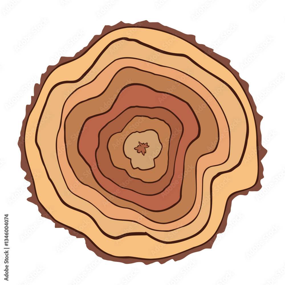 Log cut, tree rings pattern, isolated on white background, vector illustration Log cut, tree rings pattern, isolated on white background, vector illustration