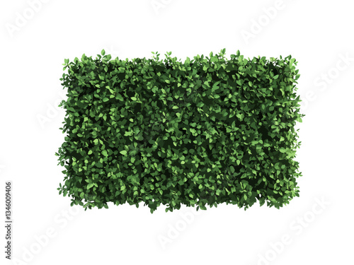 A vector illustration of a rectangular hedge viewed from above, isolated on a transparent background, ideal for landscaping, gardening, and nature-related designs.