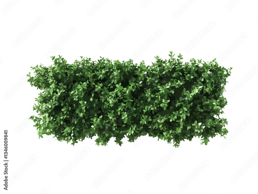 A vector illustration of a rectangular hedge viewed from above, isolated on a transparent background, ideal for landscaping, gardening, and nature-related designs. A vector illustration of a rectangular hedge viewed from above, isolated on a transparent background, ideal for landscaping, gardening, and nature-related designs.