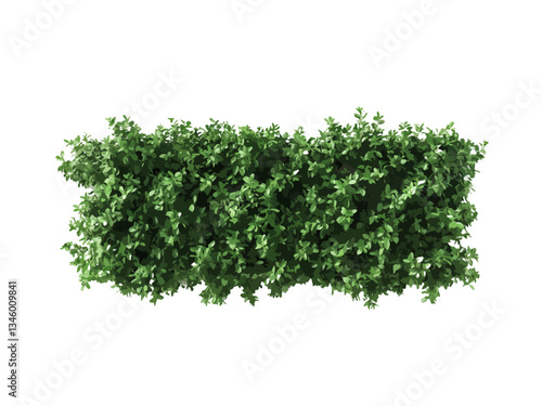 A vector illustration of a rectangular hedge viewed from above, isolated on a transparent background, ideal for landscaping, gardening, and nature-related designs.