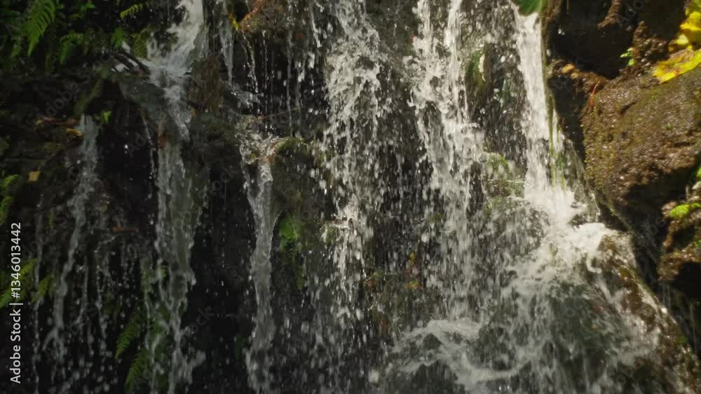 SLOW-MOTION ZOOM OUT SHOT OF A WATERFALL AND WATER SPRING AT URUAPAN'S NATIONAL PARK SLOW-MOTION ZOOM OUT SHOT OF A WATERFALL AND WATER SPRING AT URUAPAN'S NATIONAL PARK