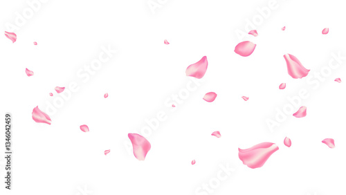 rose and sakura flying petal romantic background vector