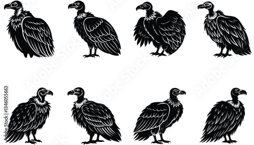 Vulture Vector Shilhouette Bundle Set 
