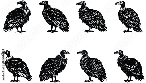 Vulture Vector Shilhouette Bundle Set 
