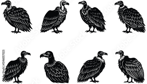 Vulture Vector Shilhouette Bundle Set 