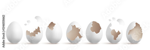 Set of egg and eggshell broken on white background	