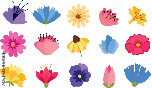 Colorful flowers