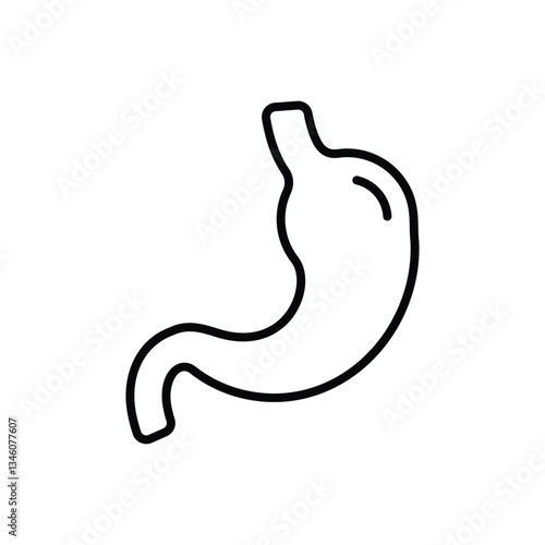 stomach Vector icon