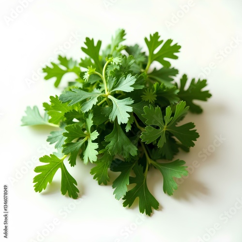 Parsley, coriander and parsley, condiments, greens, kitchen, menu, delicious food, salad, healthy, parsley, cooking, food seasoning, on white background, top view