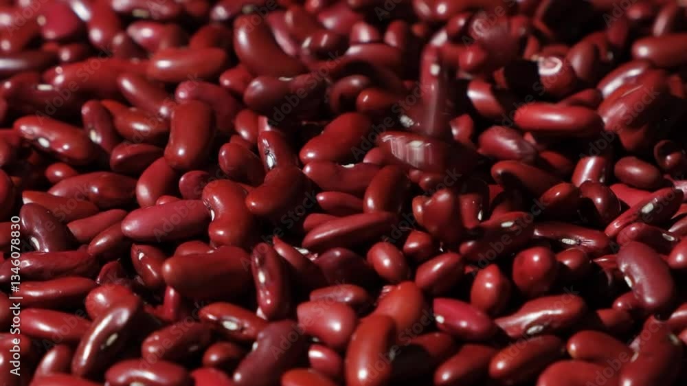 Close-Up of Shiny Red Kidney Beans Pour Slow Motion. Close-Up of Shiny Red Kidney Beans Pour Slow Motion.