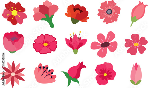 Red and pink flowers set