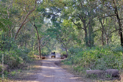 Woodland road with a safari gypsy, Jim Corbett National Park, Uttarakhand, India.