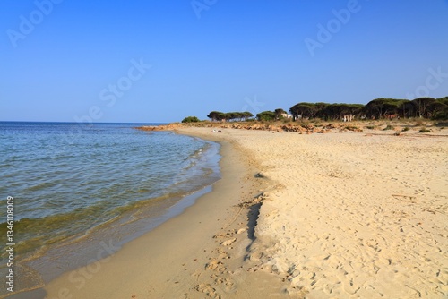 Fototapeta Naklejka Na Ścianę i Meble -  Sandy beach in Sardinia, Italy
