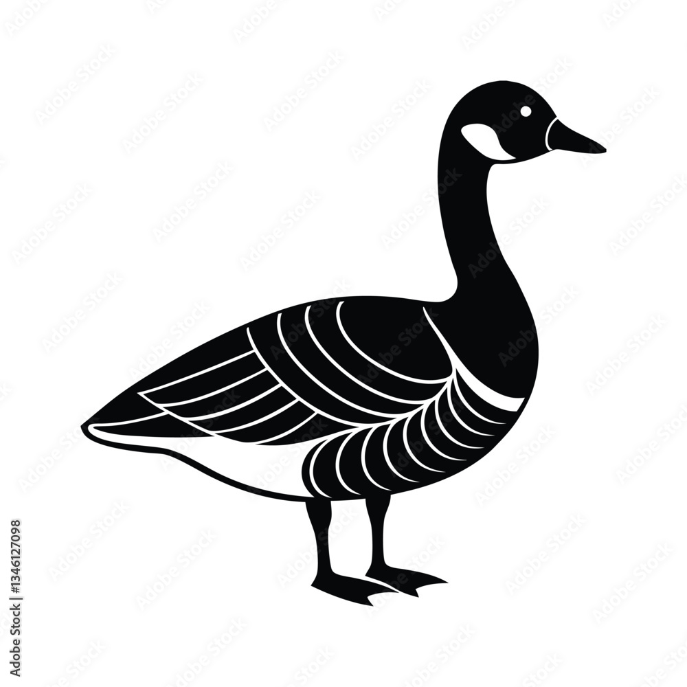 goose isolated on white goose isolated on white