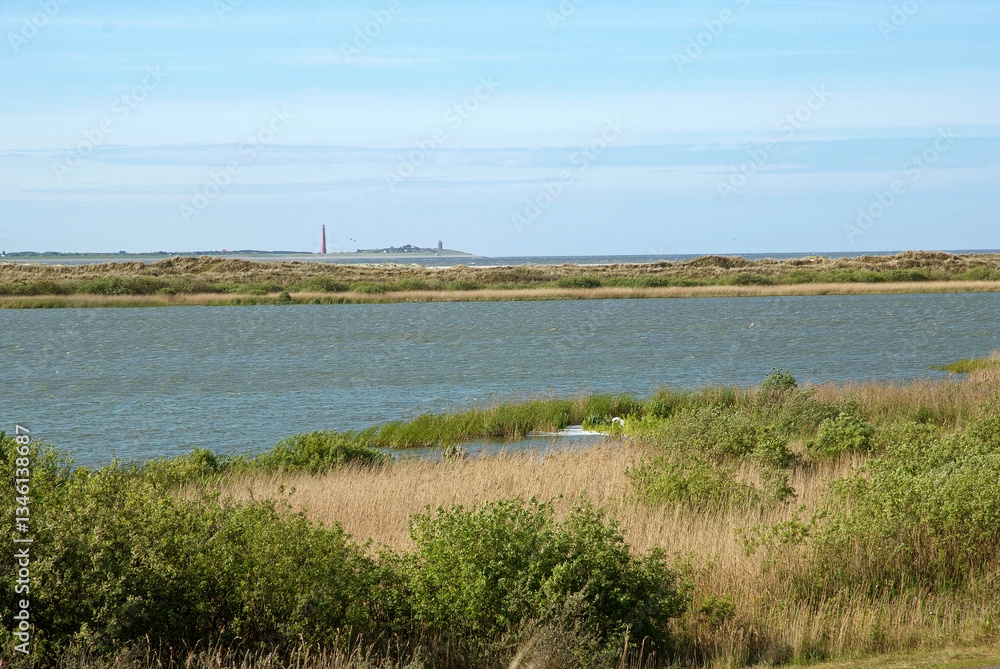 Parc national De Geul et De Hors, Mer de Wadden, Ile Texel, Pays Bas Parc national De Geul et De Hors, Mer de Wadden, Ile Texel, Pays Bas