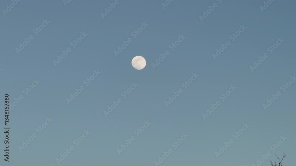 Shot against a clear sky with tree branches in the foreground. Shot against a clear sky with tree branches in the foreground.