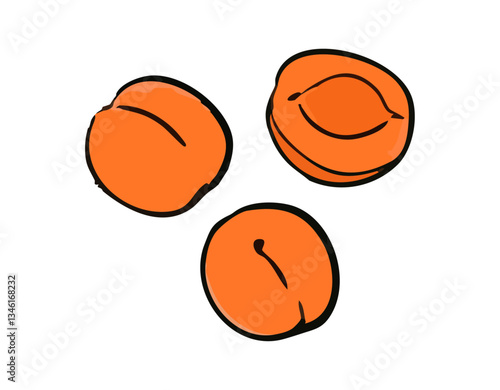Abricots dessin illustration vectorielle