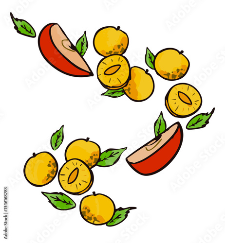 Mirabelles pommes illustration dessin vectoriel