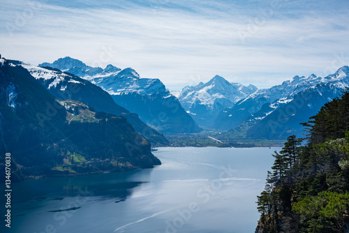 Stunning mountain scenery featuring the snow-capped Bristen and the deep blue waters of Lake Lucerne in Uri Canton. A perfect depiction of Swiss alpine landscapes with forests, cliffs, and clear skies
