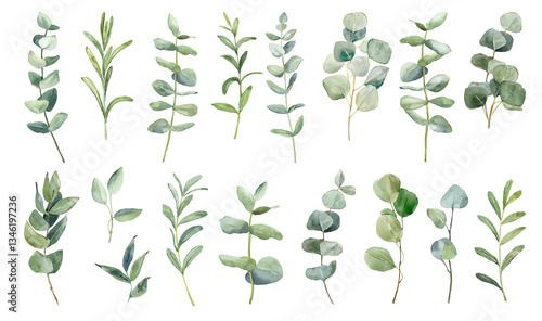 Botanical collection of hand-painted green leaves with various shapes and sizes arranged in a neat pattern for artistic purposes