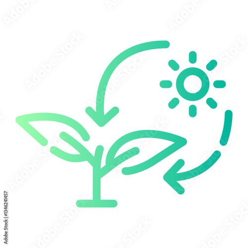 photosynthesis
