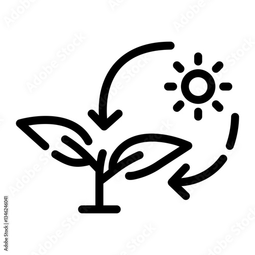 photosynthesis