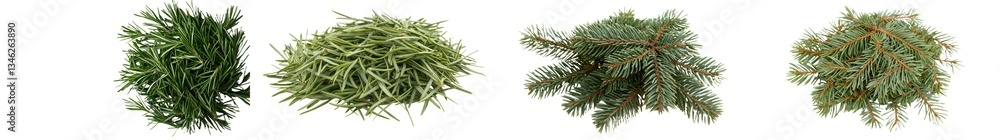 An isolated pile of horsetail, which is sliced fern, sits on a white background An isolated pile of horsetail, which is sliced fern, sits on a white background