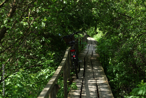 beautiful spring view.A vintage bicycle stands on an oldwooden bridge above a swamp in the forest .