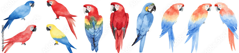 Obraz premium On an isolated white background, a watercolor illustration presents a diverse set of parrots, including macaw, lovebird, cockatoo, hummingbird, and starling