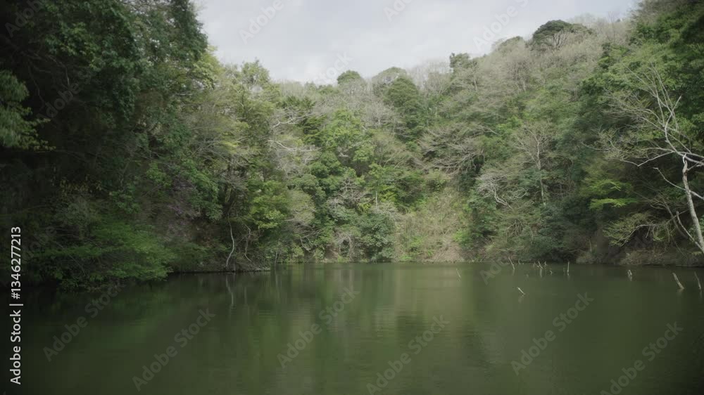 lake, dam, swamp, water, surface, forest, woodland, tree, boat, track up lake, dam, swamp, water, surface, forest, woodland, tree, boat, track up
