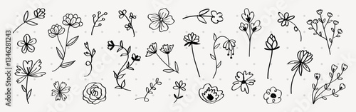 A collection of hand-drawn floral illustrations featuring various flowers and leaves. These floral designs showcase simple, elegant flowers and leaves. Cute hand drawn floral elements, vector set.