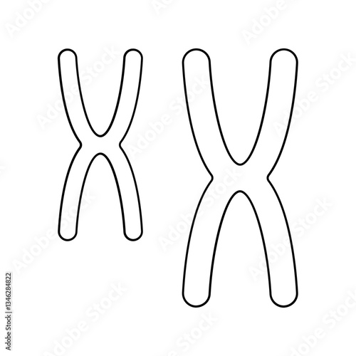Chromosome icon in line style