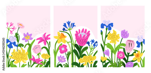 Summer flowers, cards set. Floral backgrounds, botanical card designs with spring blossoms, blooming plants. Beautiful gorgeous garden nature, vertical posters. Colored flat vector illustrations