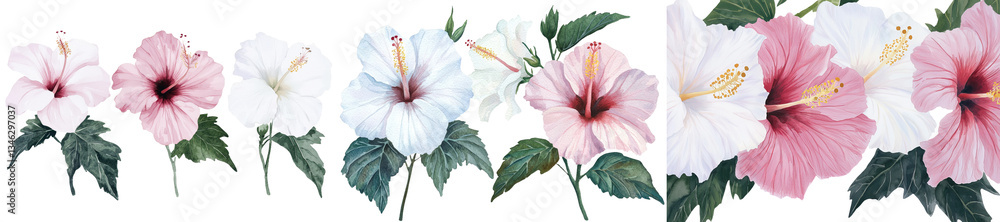 Obraz premium Tropical flowers such as hibiscus and mallow are depicted in a hand-drawn botanical painting using watercolor illustration techniques