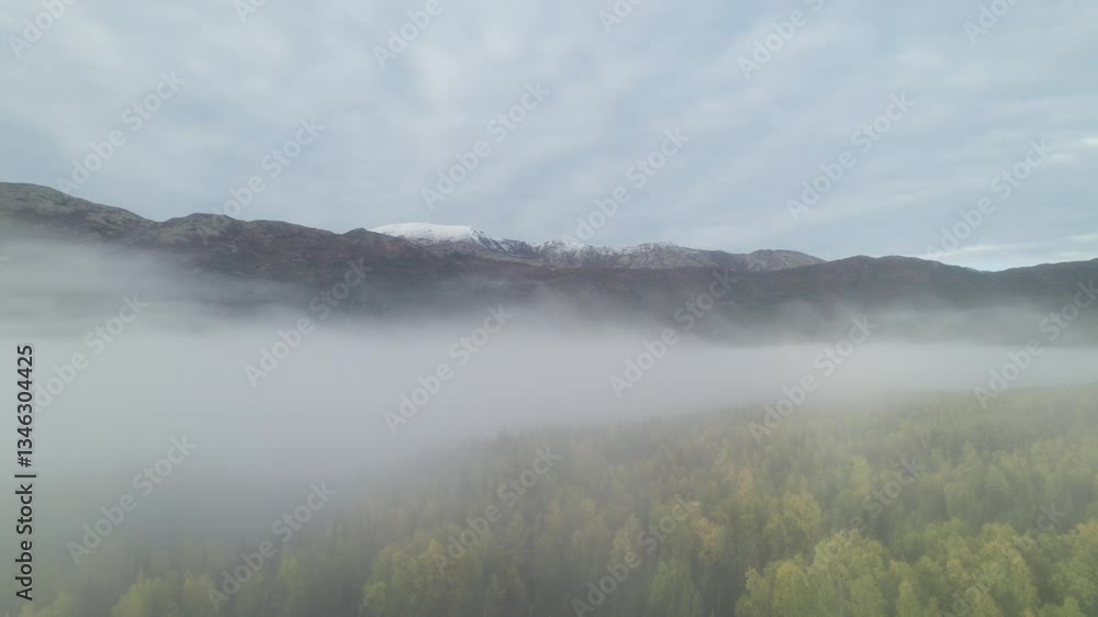 Beautiful mountains and autumn forest covered in thick fog, aerial view Beautiful mountains and autumn forest covered in thick fog, aerial view