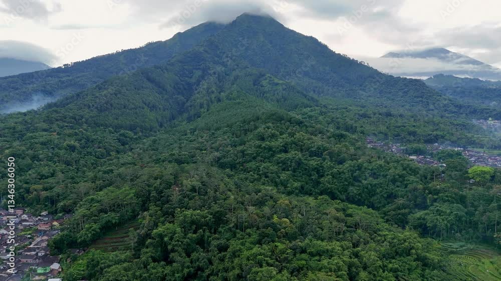 Drone camera flying forward above the forest trees to the mountains. Andong Mountain, Indonesia. Tropical nature scenery of forest on the mountain. 4K aerial landscape video. Drone camera flying forward above the forest trees to the mountains. Andong Mountain, Indonesia. Tropical nature scenery of forest on the mountain. 4K aerial landscape video.