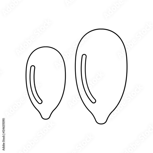 Pumpkin seed icon in line style