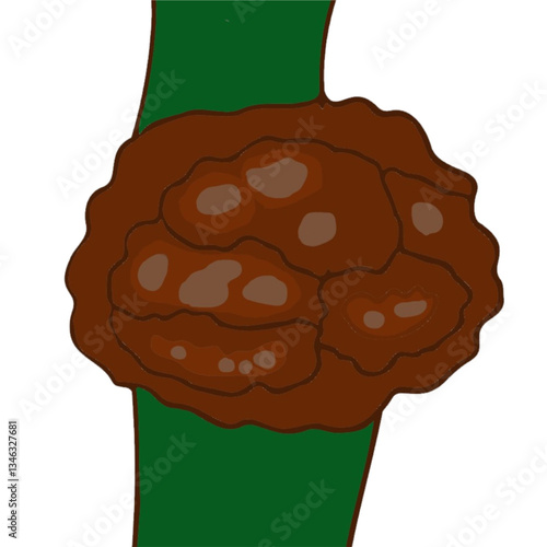crown gall diesase of plant pathology agriculture disease problems 