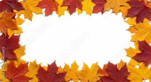 Autumn Serenity