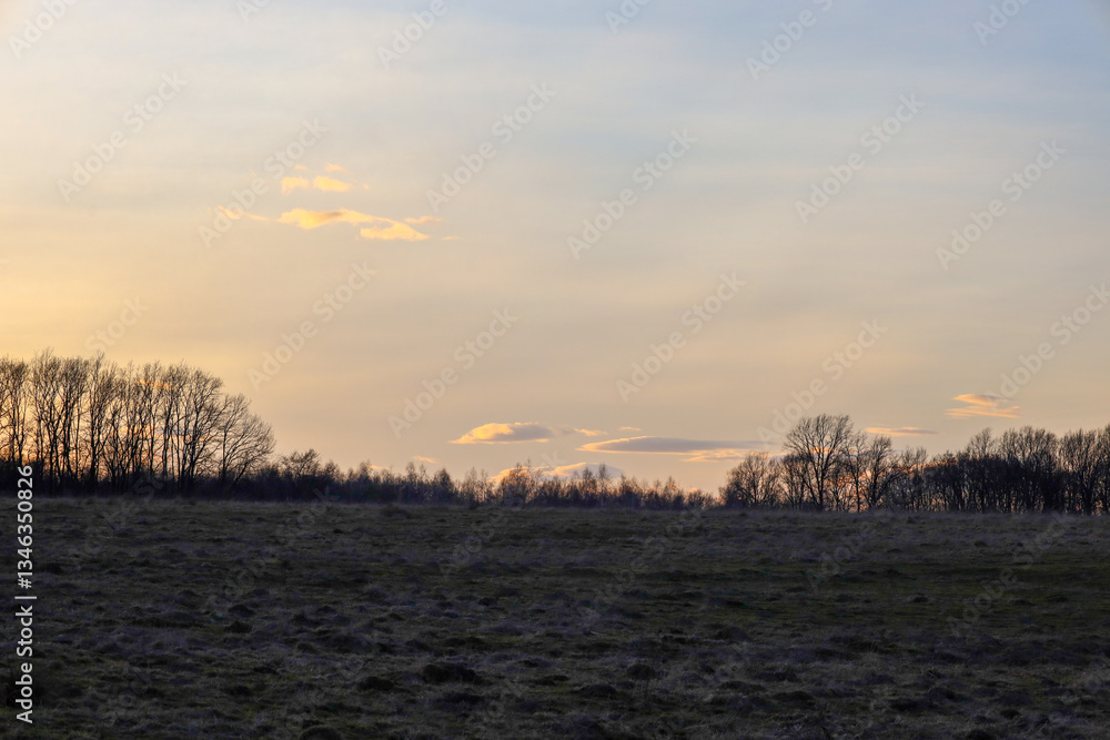 Obraz premium The photograph depicts a peaceful evening landscape with a field in the foreground and a line of trees on the horizon. The sky is painted in soft shades of sunset, with small clouds adding dynamics.