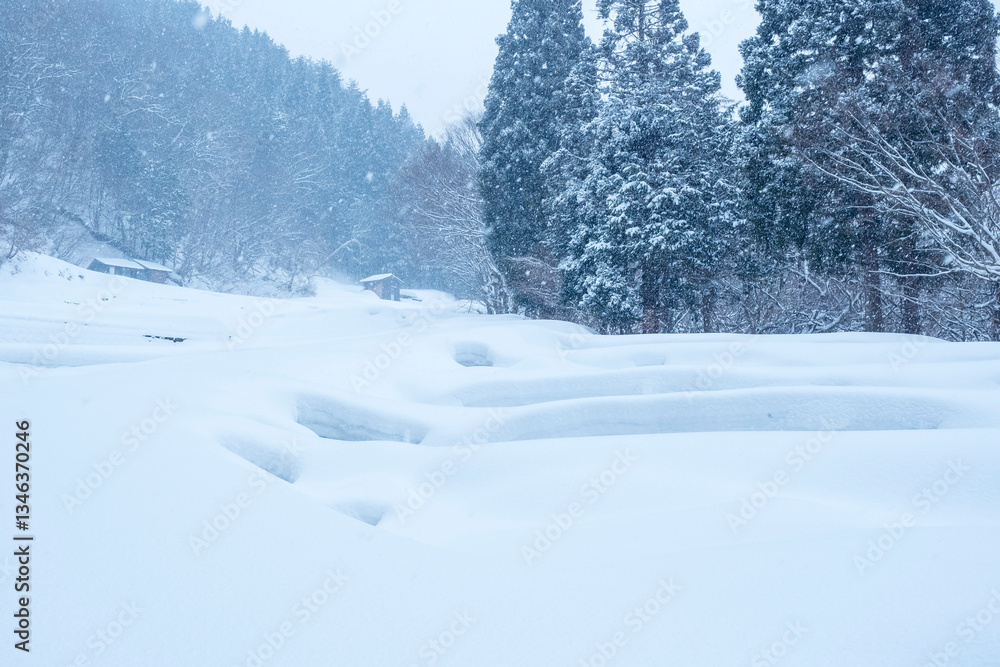 雪が積もった氷ノ山の棚田の風景 鳥取県 氷ノ山 雪が積もった氷ノ山の棚田の風景 鳥取県 氷ノ山