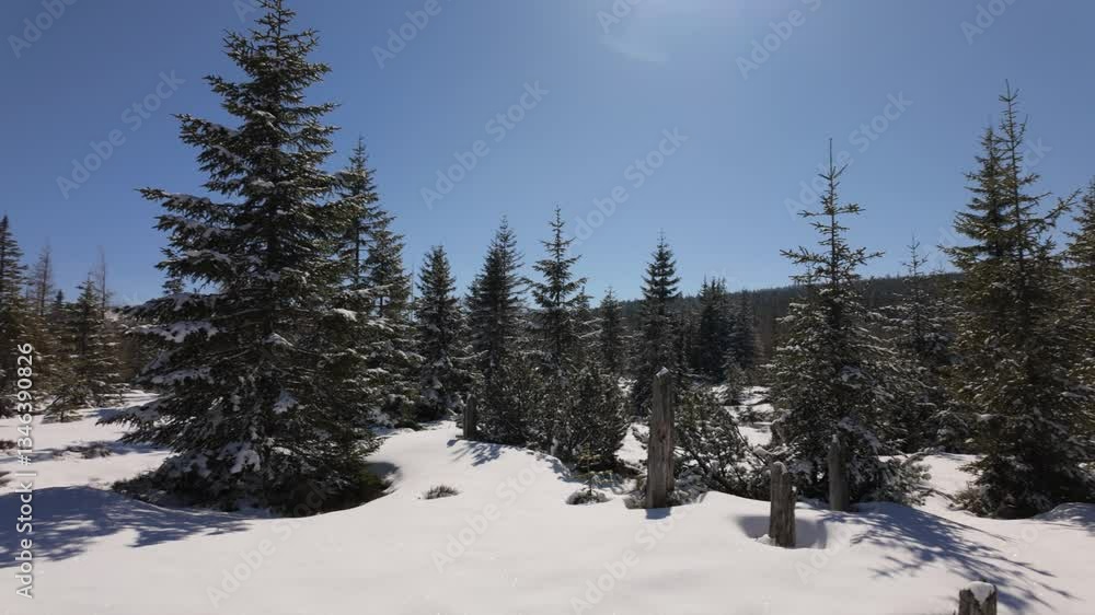 Serene nature winter landscape featuring a forest with warm sunlight filtering through the trees. Ideal for nature documentaries, travel content, and peaceful visuals. Pan from left to right.
Serene nature winter landscape featuring a forest with warm sunlight filtering through the trees. Ideal for nature documentaries, travel content, and peaceful visuals. Pan from left to right.