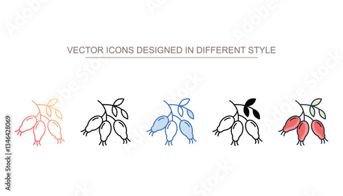 Rose Hip icon design with white background stock illustration