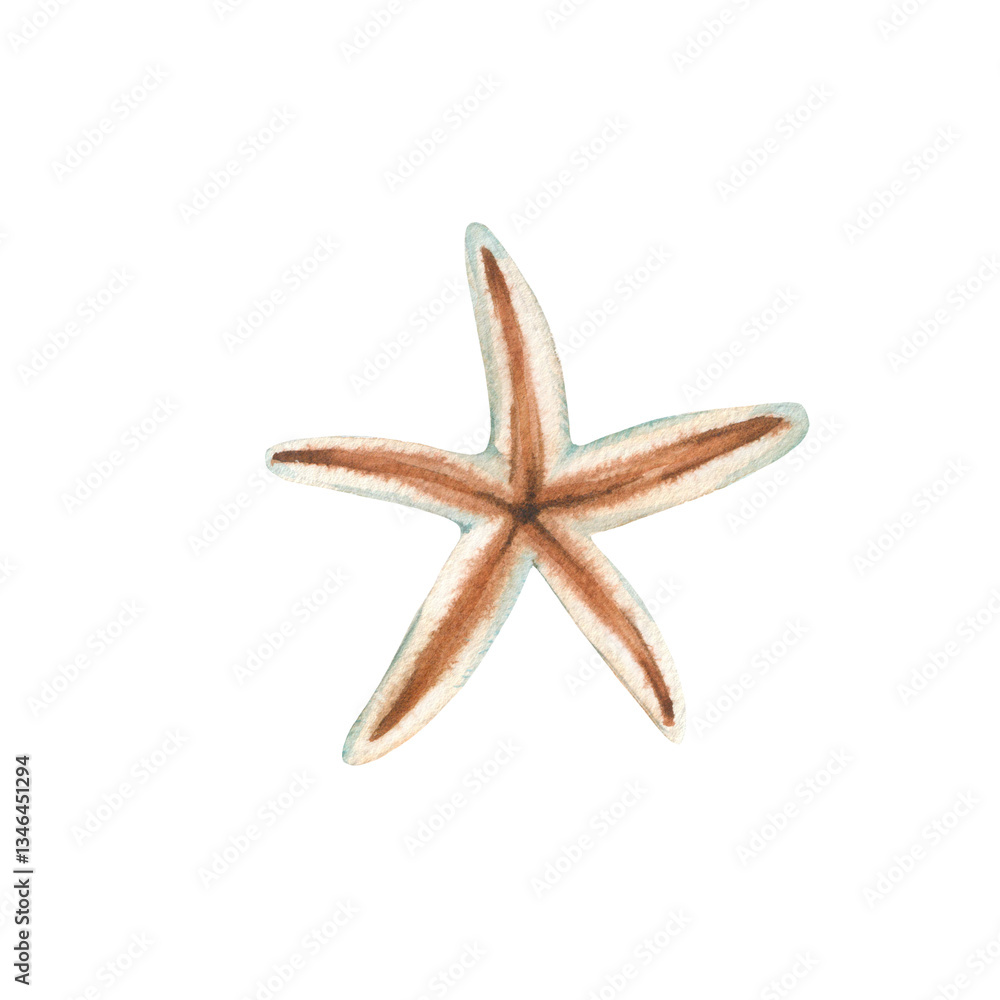 Starfish watercolor illustration hand drawn and isolated on white background. Red shell in the shape of a star. Object for design of summer labels, packaging and textiles. Starfish watercolor illustration hand drawn and isolated on white background. Red shell in the shape of a star. Object for design of summer labels, packaging and textiles.