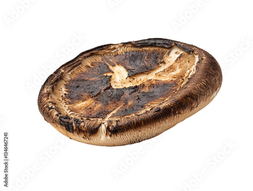 A close-up view of a dark, charred mushroom showcasing its unique texture and shape, Transparent background.