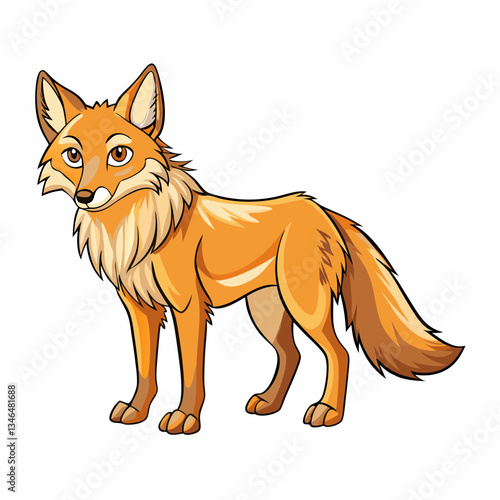 coyote cartoon vector