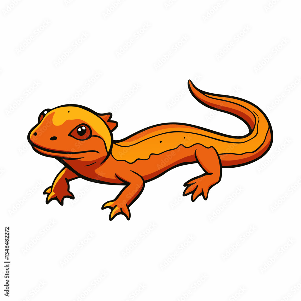 newt on a white background newt on a white background