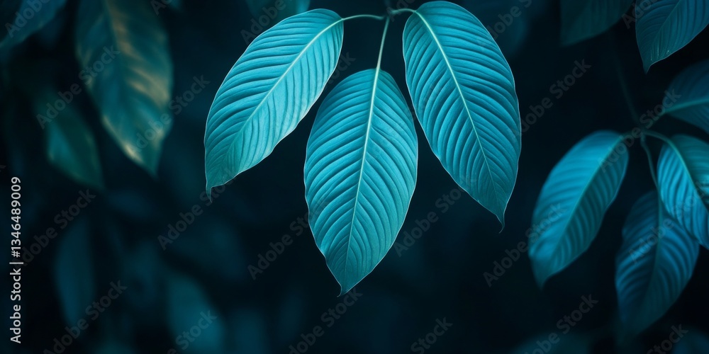 Fototapeta premium Texture Of Vivid Green Tropical Leaves In The Forest, Dark Tone, Top View. Nature Background.