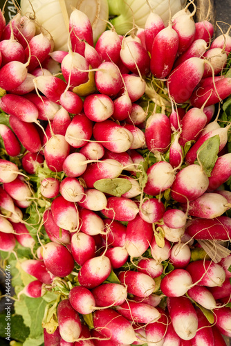 Fresh French Breakfast Radishes at a Farmers Market